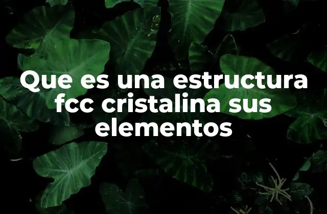 Que es una Estructura Fcc Cristalina Sus Elementos