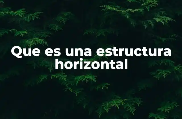 Que es una Estructura Horizontal