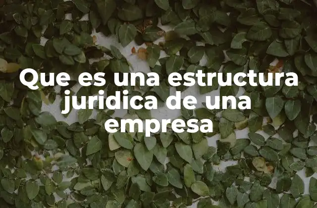 Que es una Estructura Juridica de una Empresa 2 Cómo la estructura jurídica define la operación de una empresa