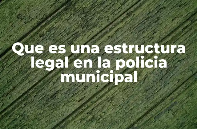Que es una Estructura Legal en la Policia Municipal