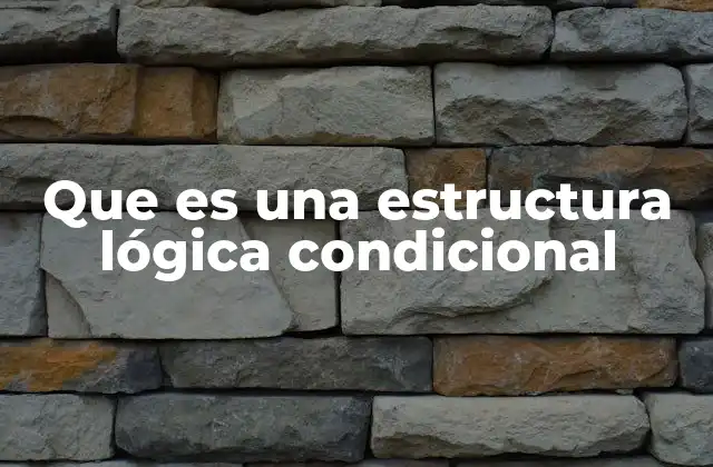 Que es una Estructura Lógica Condicional