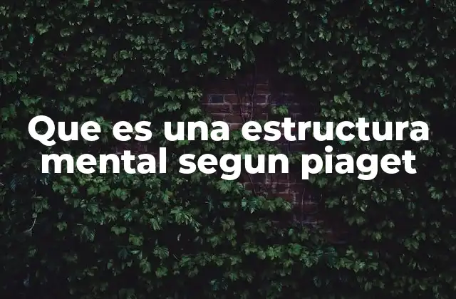 Que es una Estructura Mental Segun Piaget