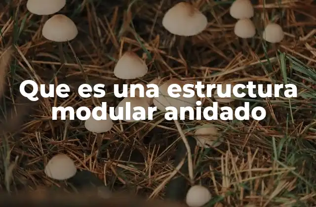 Que es una Estructura Modular Anidado