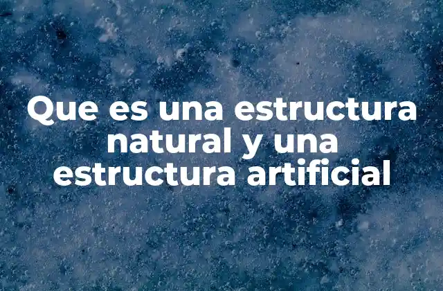 Que es una Estructura Natural y una Estructura Artificial