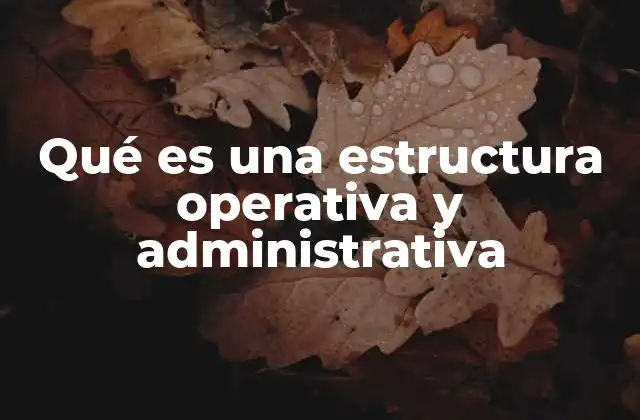 Qué es una Estructura Operativa y Administrativa