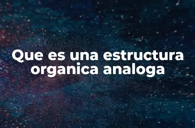 Que es una Estructura Organica Analoga