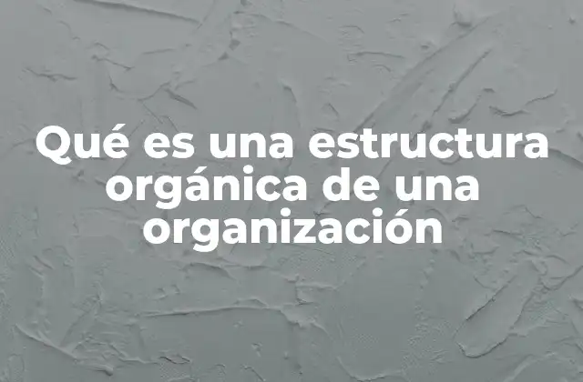 Qué es una Estructura Orgánica de una Organización