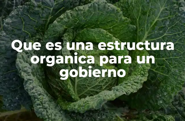 Que es una Estructura Organica para un Gobierno