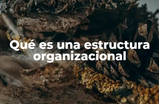 Qué es una Estructura Organizacional
