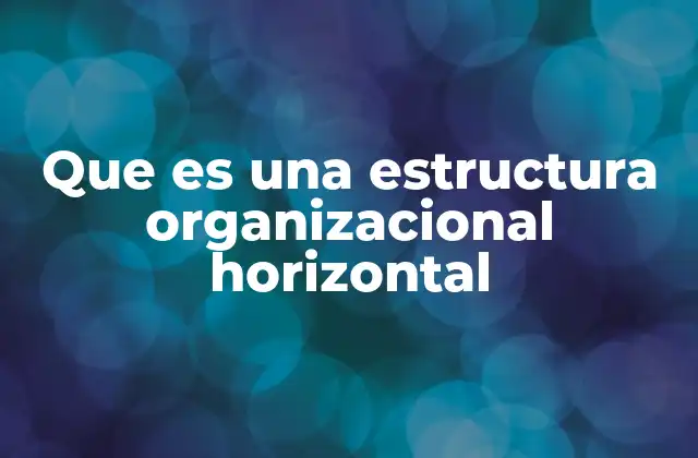 Que es una Estructura Organizacional Horizontal