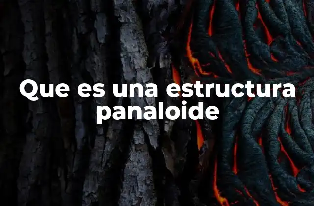 Que es una Estructura Panaloide