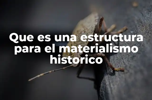 Que es una Estructura para el Materialismo Historico