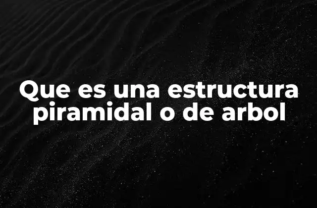 Que es una Estructura Piramidal o de Arbol