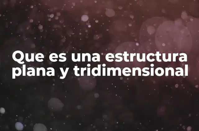 Que es una Estructura Plana y Tridimensional