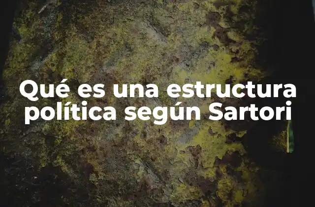 Qué es una Estructura Política según Sartori