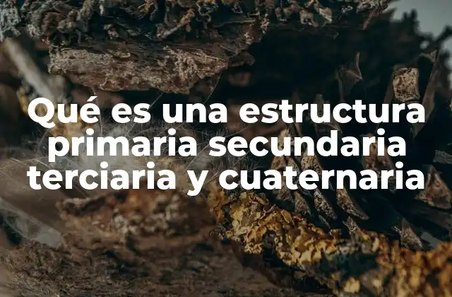 Qué es una Estructura Primaria Secundaria Terciaria y Cuaternaria