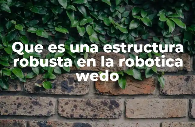 Que es una Estructura Robusta en la Robotica Wedo