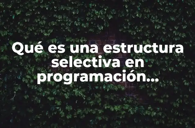 Qué es una Estructura Selectiva en Programación Ejemplos