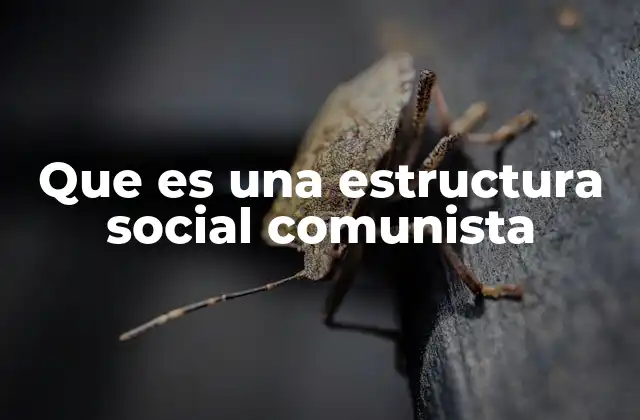 Que es una Estructura Social Comunista