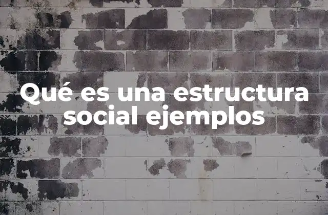 Qué es una Estructura Social Ejemplos
