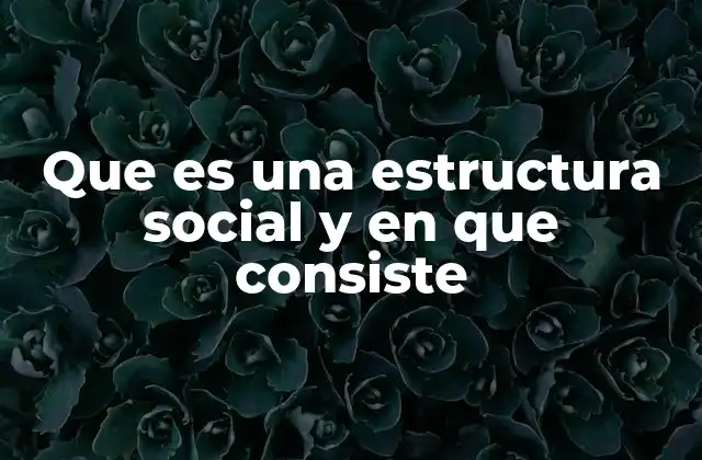 Que es una Estructura Social y en que Consiste