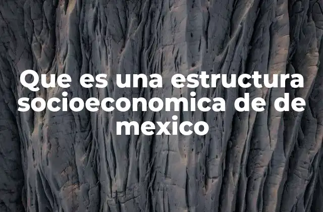 Que es una Estructura Socioeconomica de de Mexico