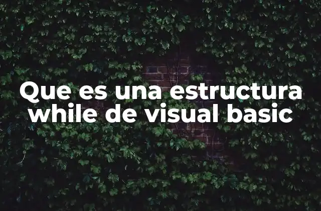 Que es una Estructura While de Visual Basic