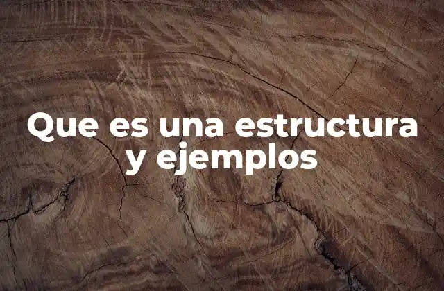 Que es una Estructura y Ejemplos