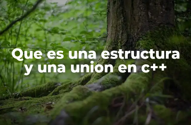 Que es una Estructura y una Union en C++