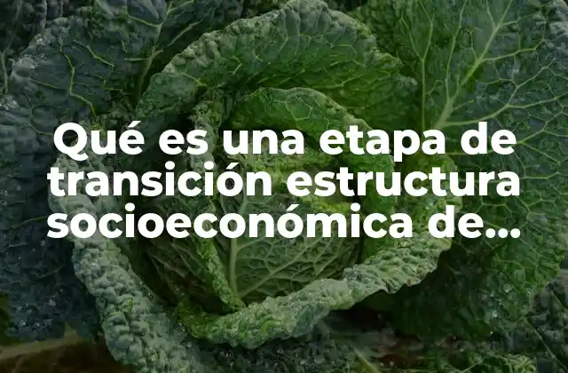 Qué es una Etapa de Transición Estructura Socioeconómica de México