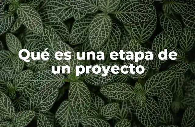 Qué es una Etapa de un Proyecto