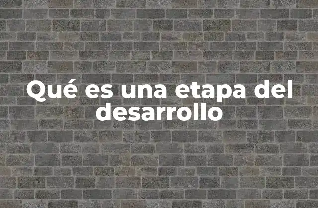 Las bases teóricas detrás del desarrollo por etapas