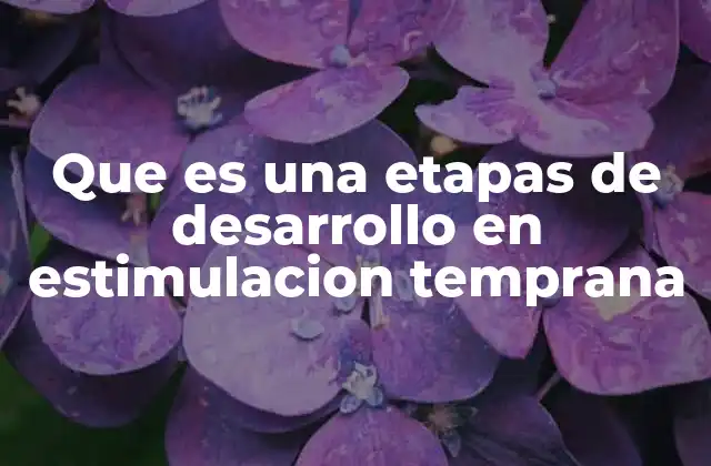 Que es una Etapas de Desarrollo en Estimulacion Temprana