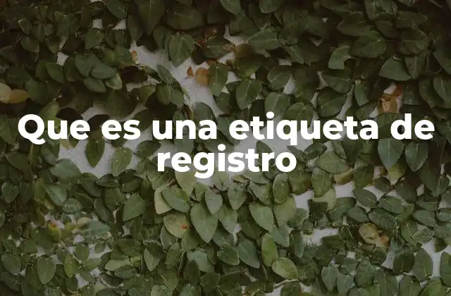 Que es una Etiqueta de Registro