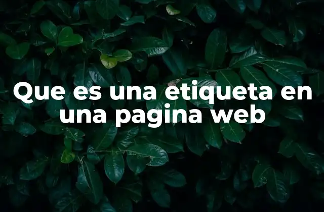 Que es una Etiqueta en una Pagina Web