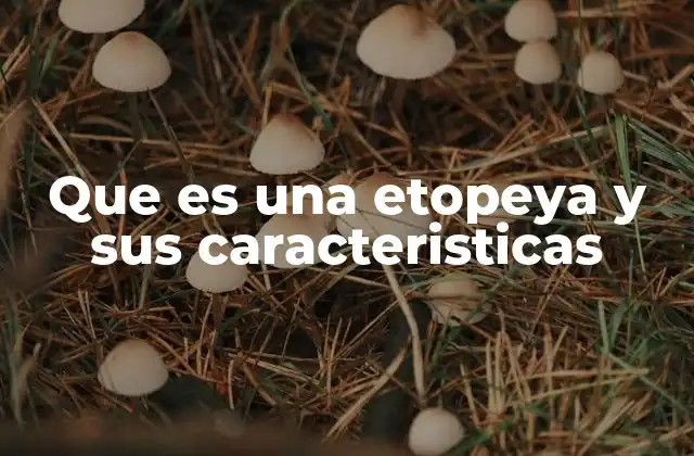 Que es una Etopeya y Sus Caracteristicas