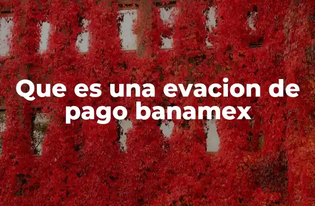 Que es una Evacion de Pago Banamex