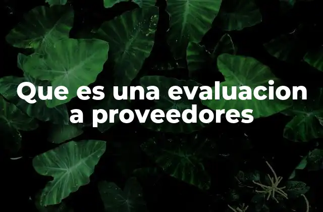 Que es una Evaluacion a Proveedores