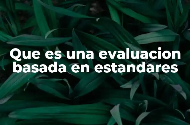 Cómo funciona el modelo de evaluación basada en estándares
