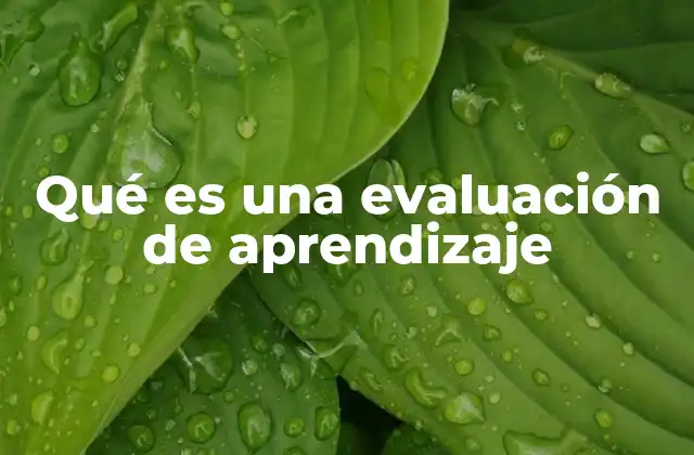 Qué es una Evaluación de Aprendizaje