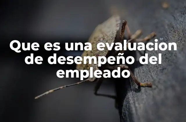 Que es una Evaluacion de Desempeño Del Empleado