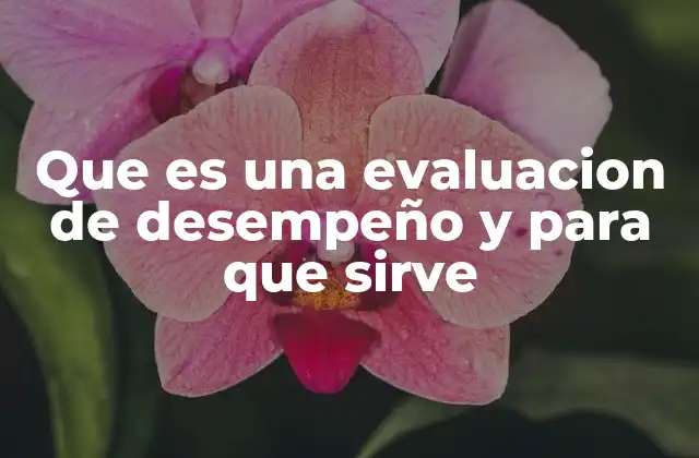 Que es una Evaluacion de Desempeño y para que Sirve