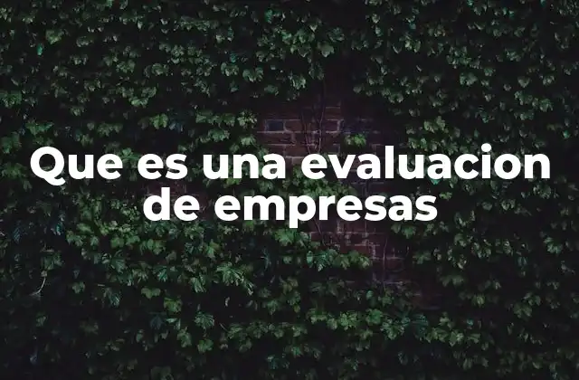 Que es una Evaluacion de Empresas