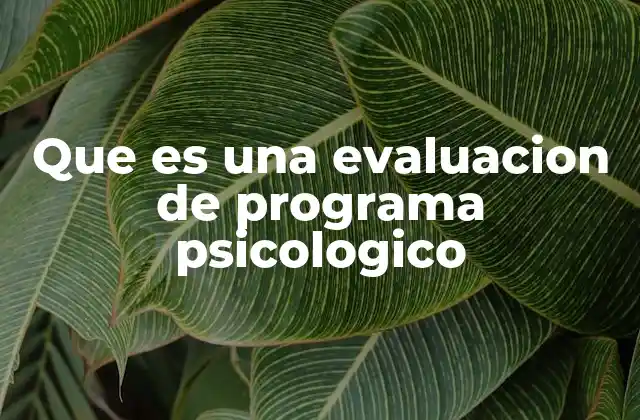Que es una Evaluacion de Programa Psicologico