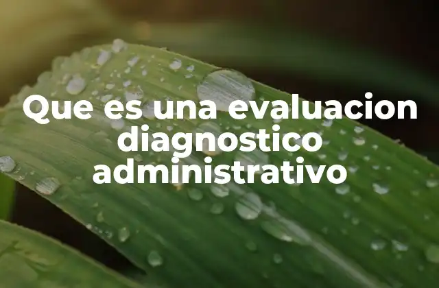 Que es una Evaluacion Diagnostico Administrativo