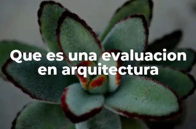 Que es una Evaluacion en Arquitectura