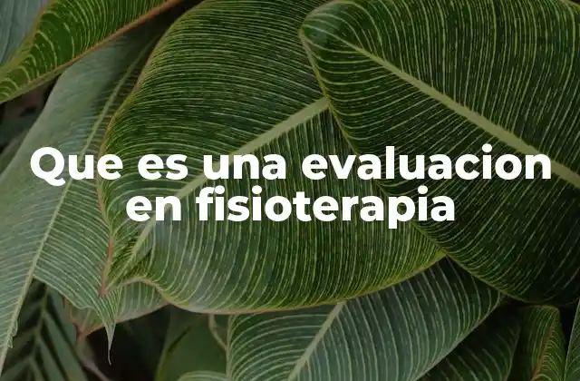 Que es una Evaluacion en Fisioterapia