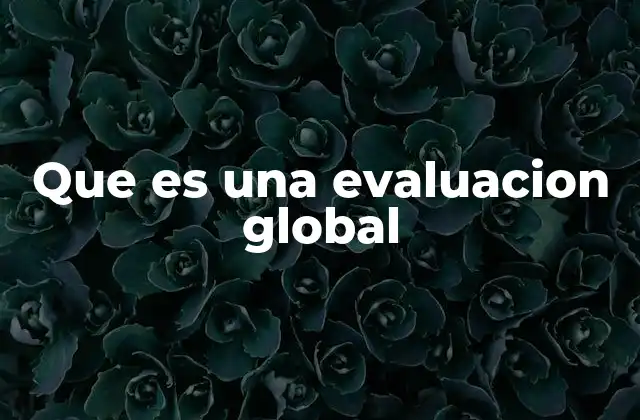 Que es una Evaluacion Global