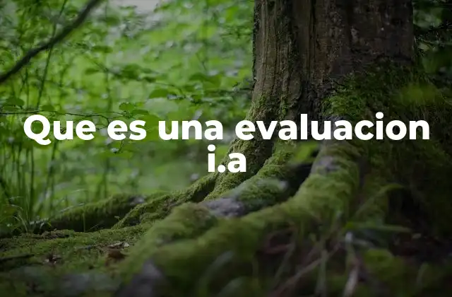 Que es una Evaluacion I.a