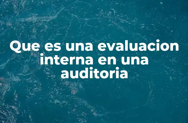 Que es una Evaluacion Interna en una Auditoria